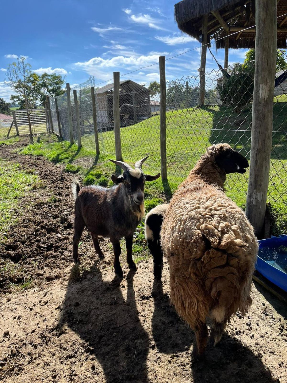 La Palma Hotel Fazenda Indaiatuba Bagian luar foto