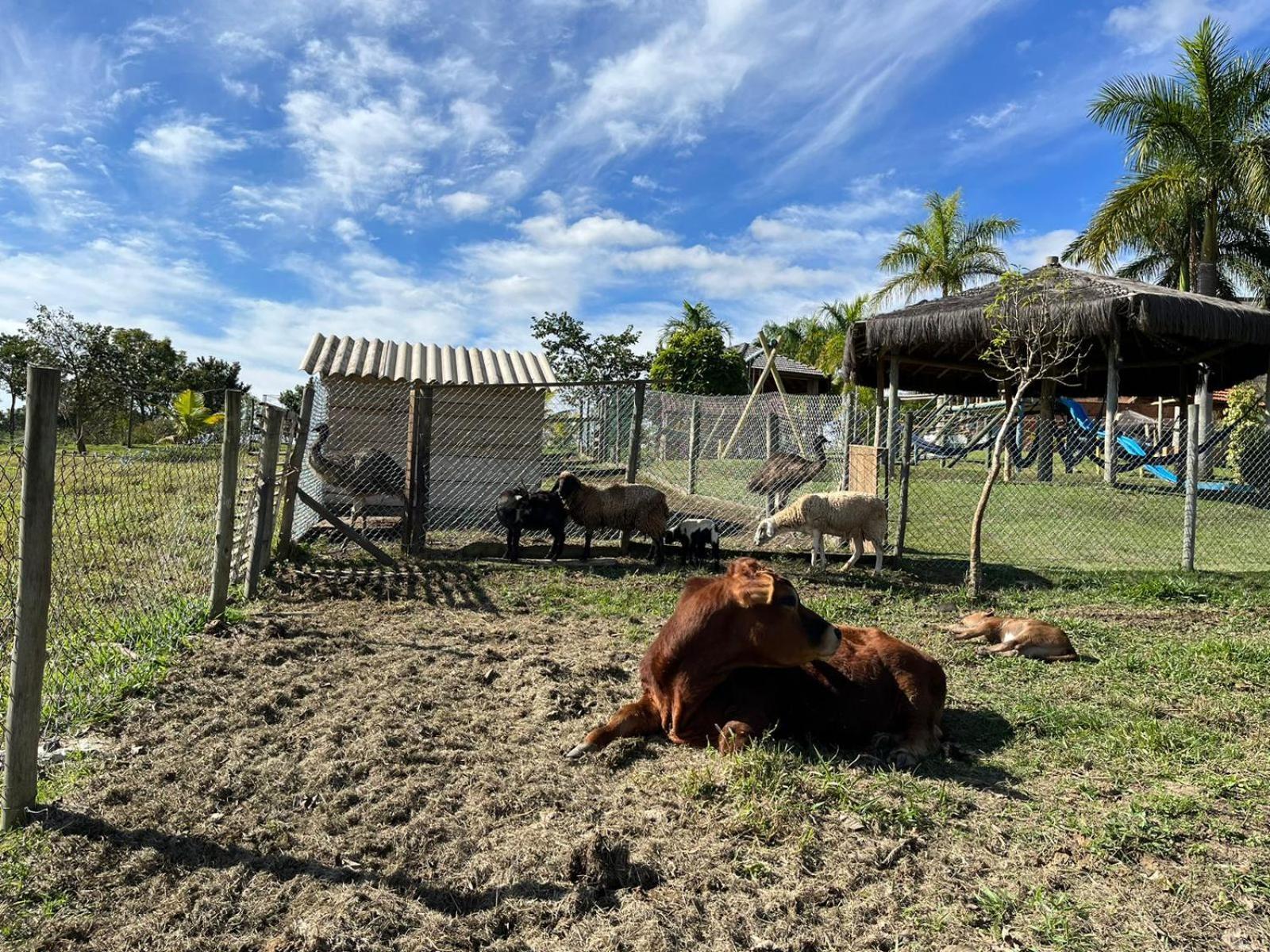 La Palma Hotel Fazenda Indaiatuba Bagian luar foto