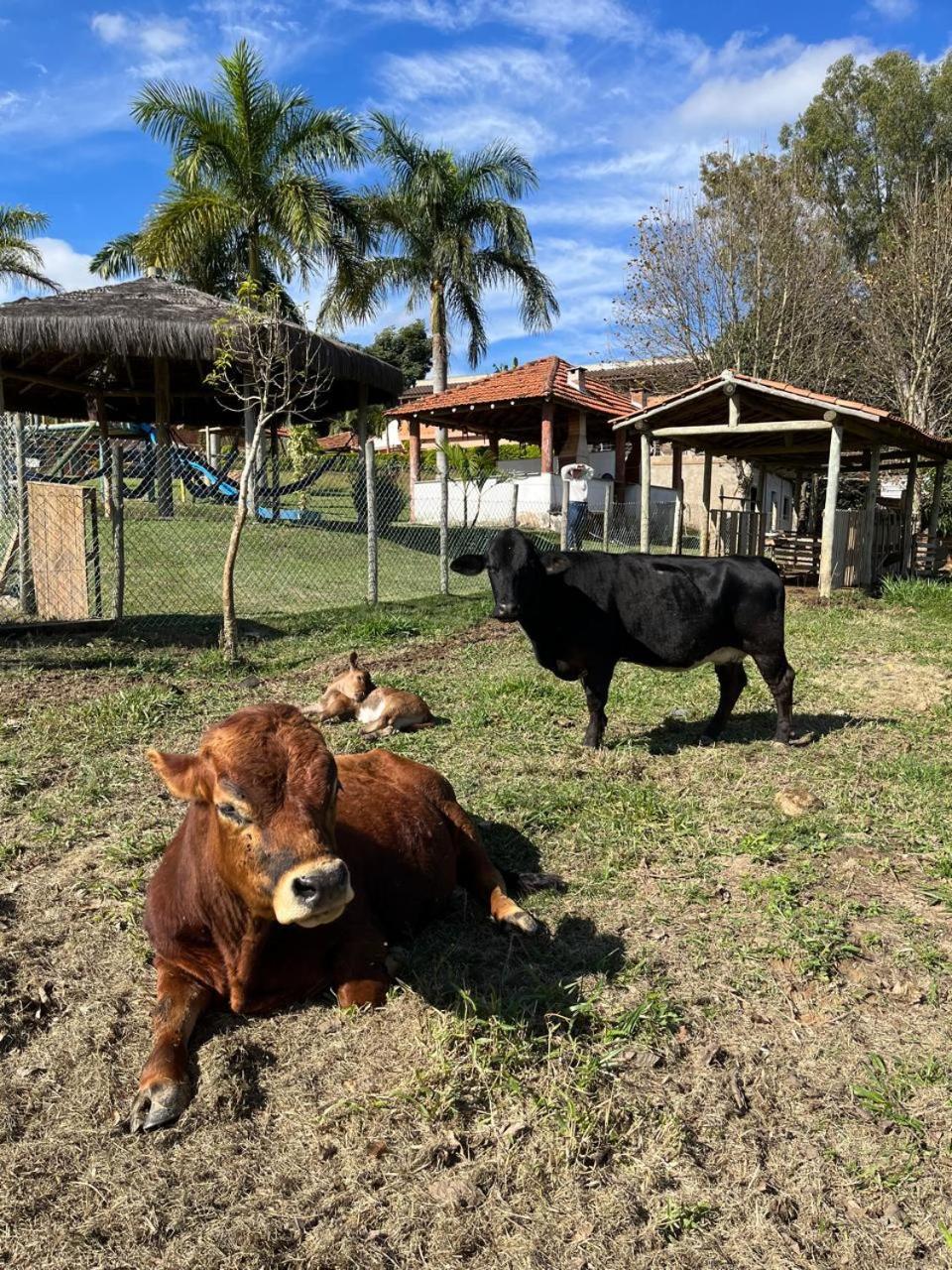 La Palma Hotel Fazenda Indaiatuba Bagian luar foto